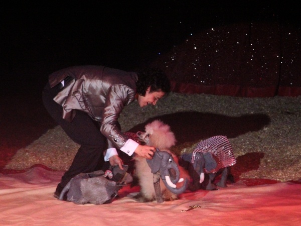 Zirkus Knie   006.jpg